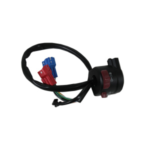 قلوه ماهیچه سمت راست(استارت) موتورسیکلت سی اف 250 اس آر